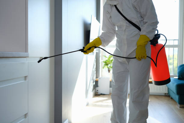 Best Mold Remediation for Specific Building Types in Lady Lake, FL
